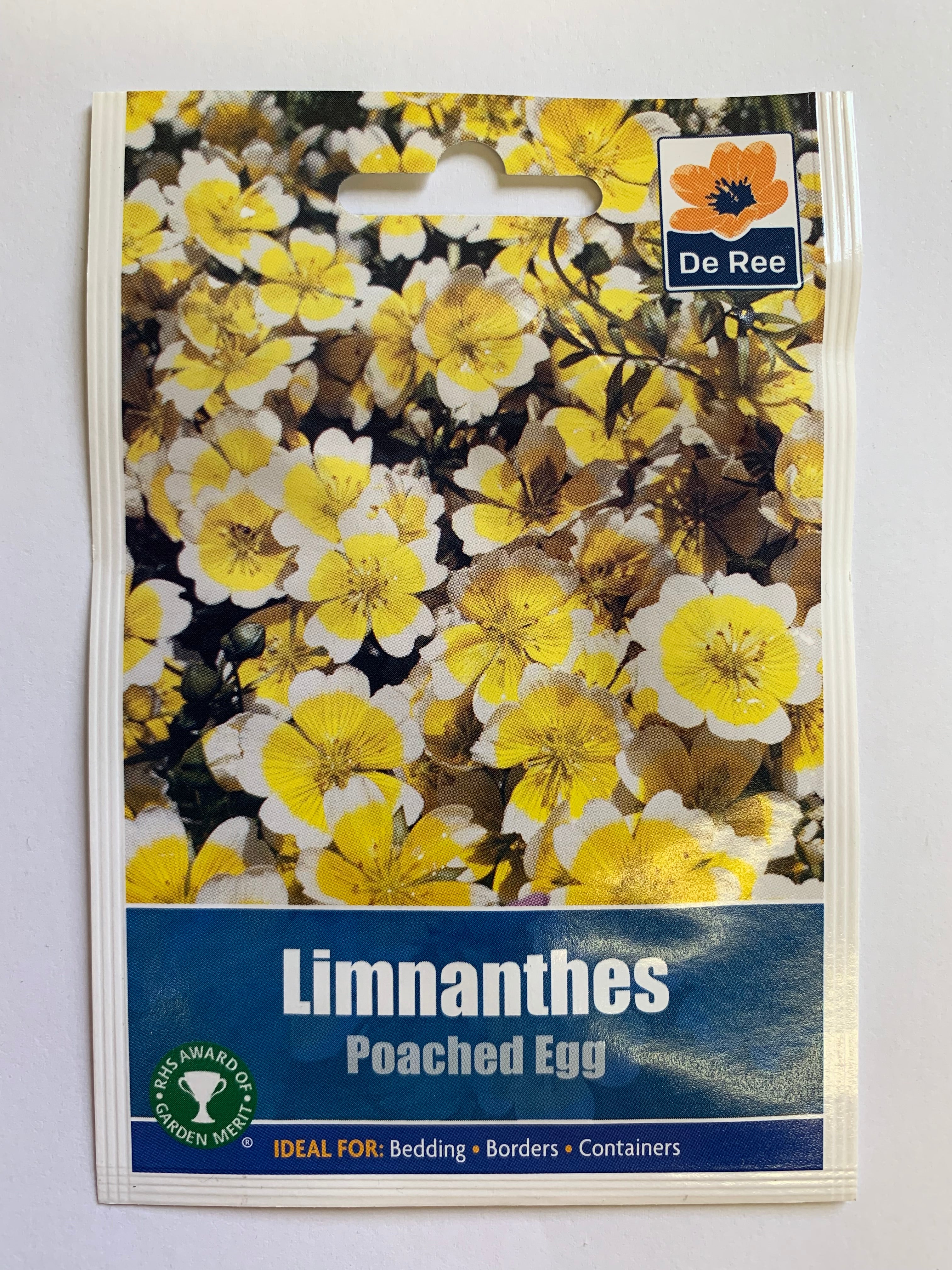 Limnanthes 'Poached Egg'
