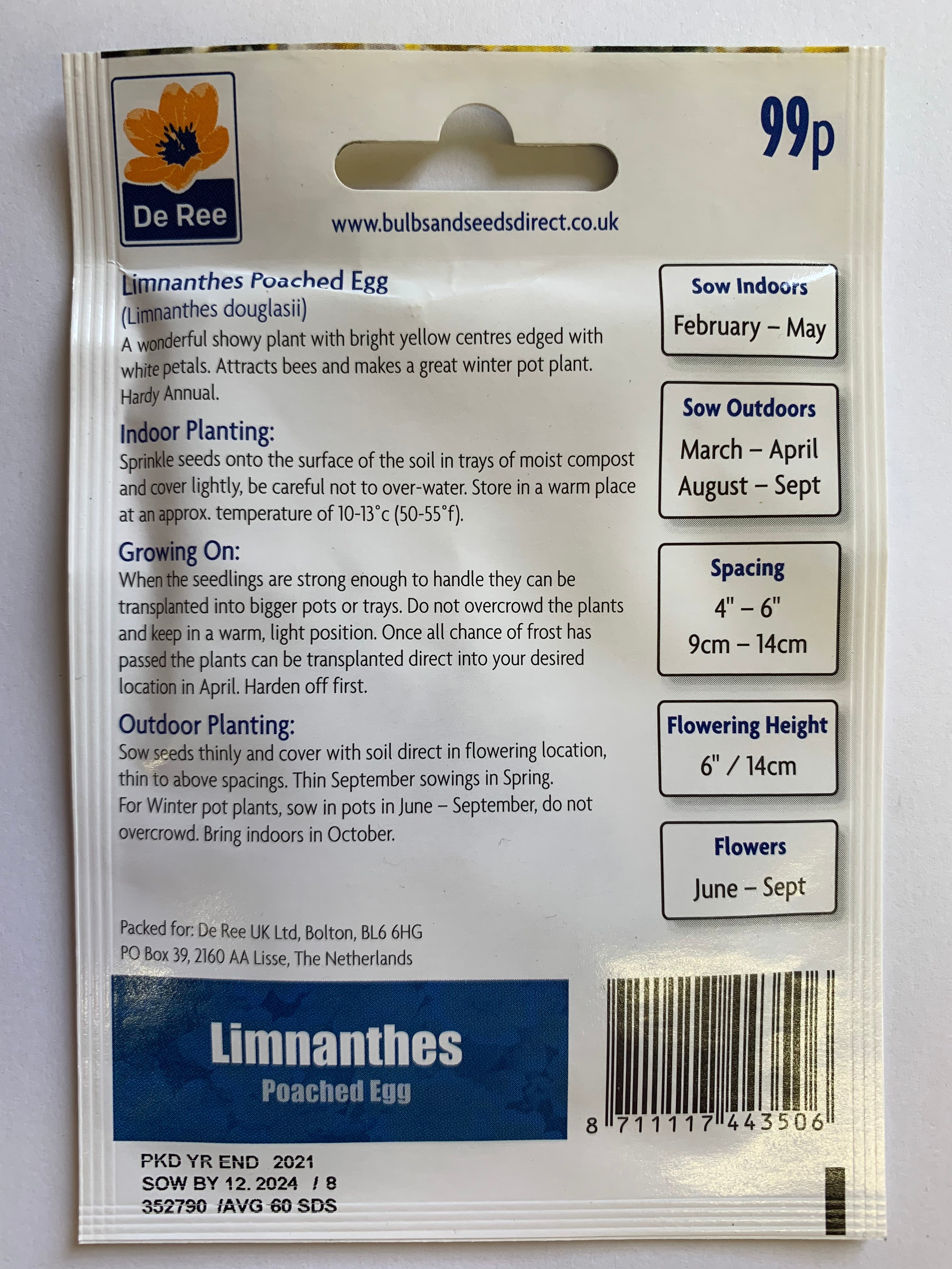 Limnanthes 'Poached Egg'