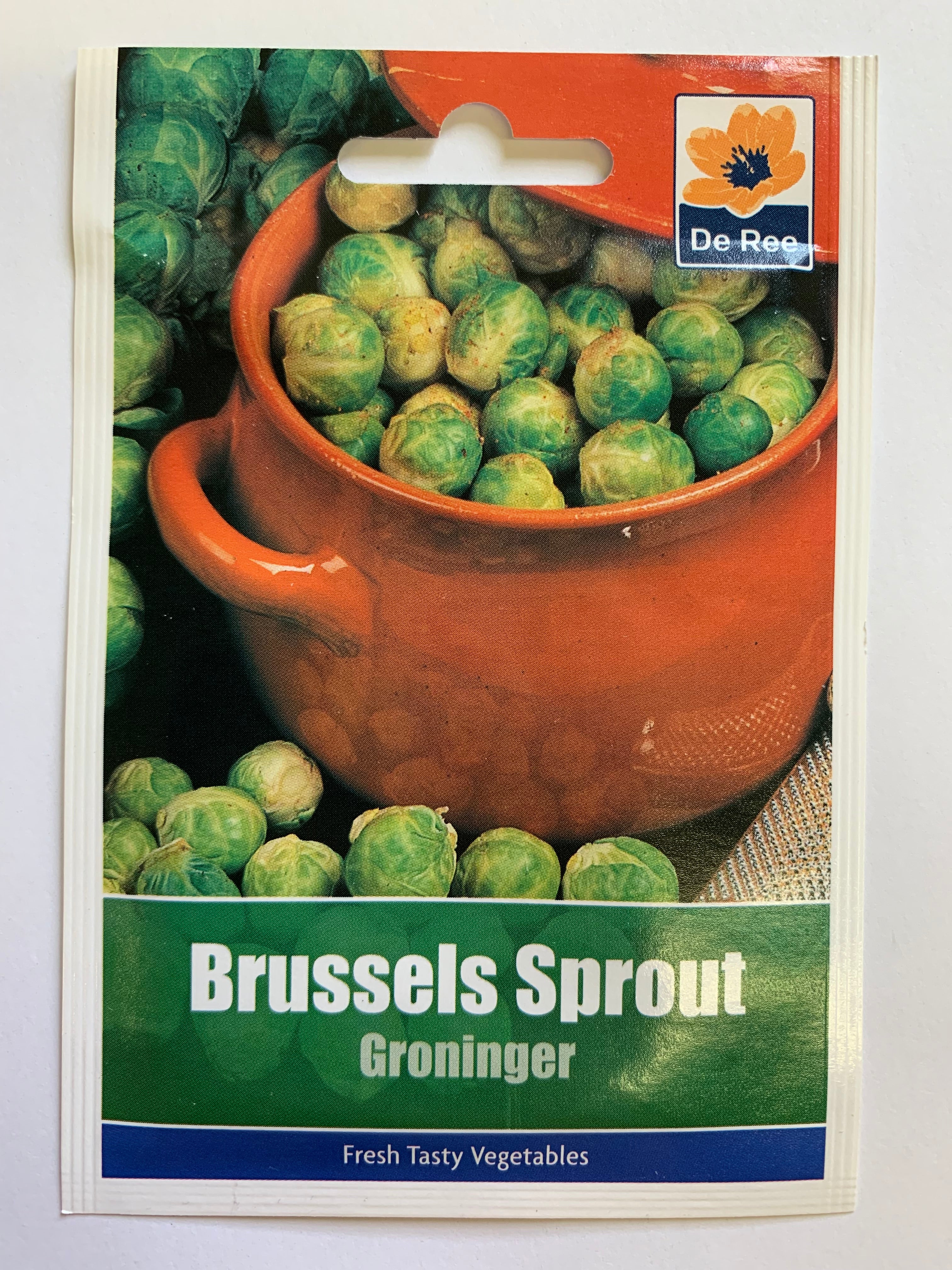 Brussel Sprout Groninger