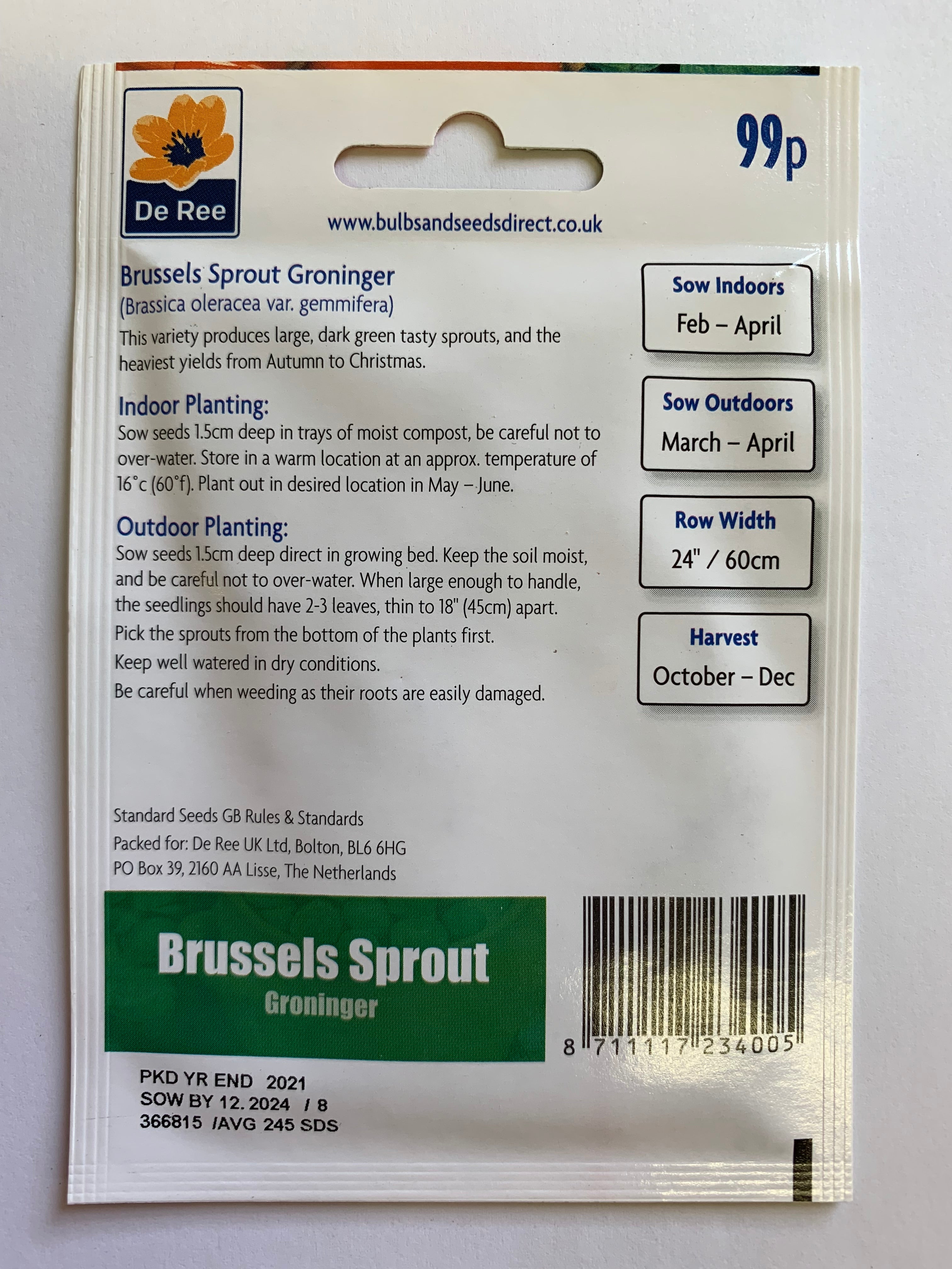 Brussel Sprout Groninger