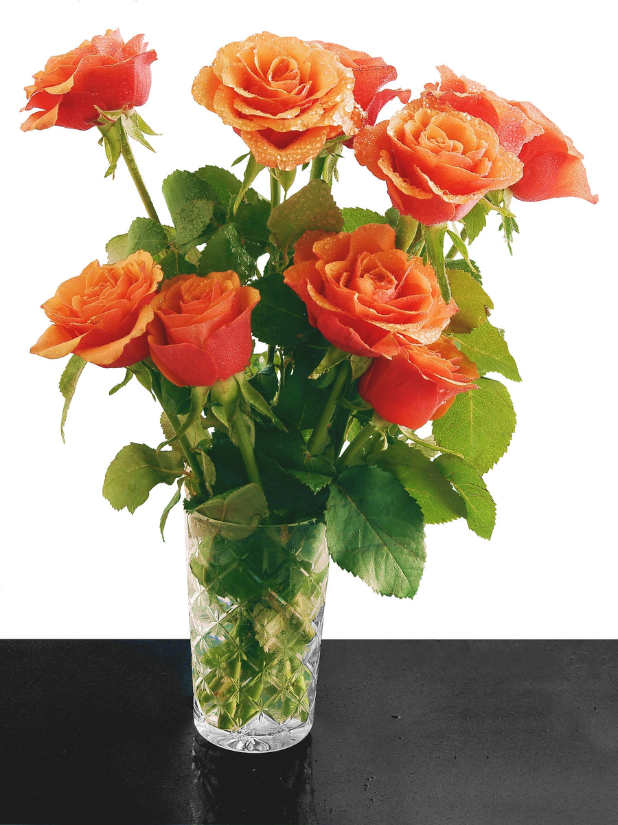 Greenchoice Flowers, 24 Orange Roses Fresh Cut Flowers