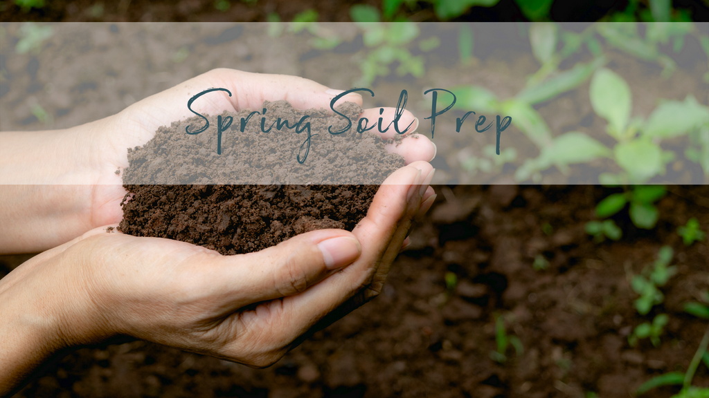Prepping your soil for spring planting