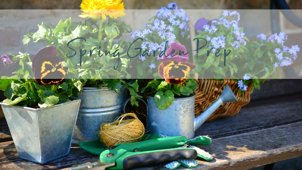 Spring-clean time! Prepping your garden for the season of growth