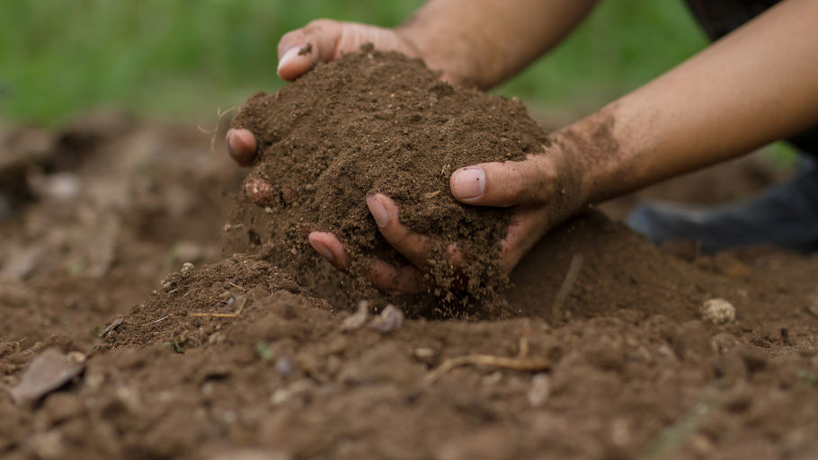 Our top tips for protecting your soil this winter