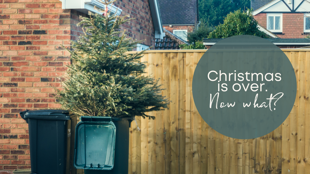 What to do with your real Christmas Tree after Christmas