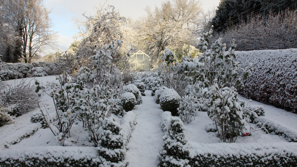 Easy ways to keep snow and frost at bay – how to navigate it in your garden