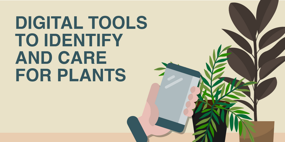 What's this plant? Digital tools to easily identify plants in your garden