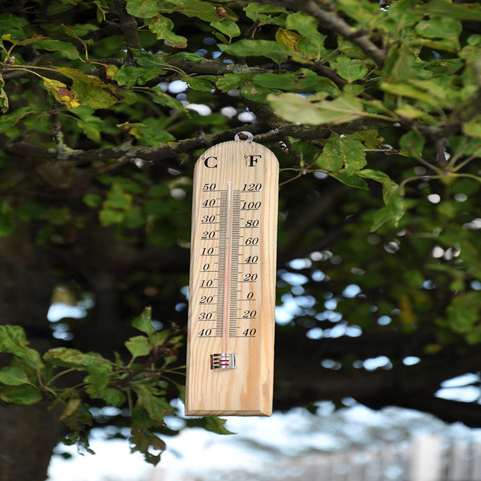 Wooden Thermometer - UCSFresh