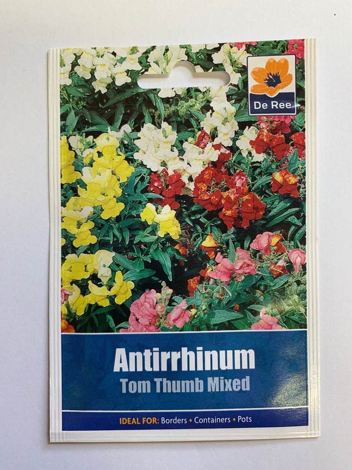 Antirrhinum Tom Thumb Mixed - UCSFresh