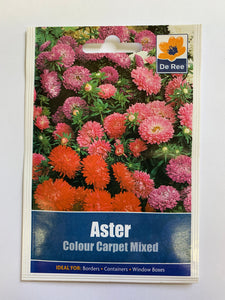 Aster Colour Carpet Mixed - UCSFresh