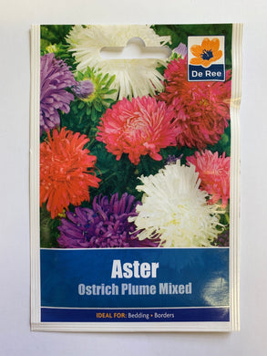 Aster Ostrich Plume Mixed - UCSFresh