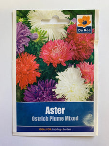 Aster Ostrich Plume Mixed - UCSFresh