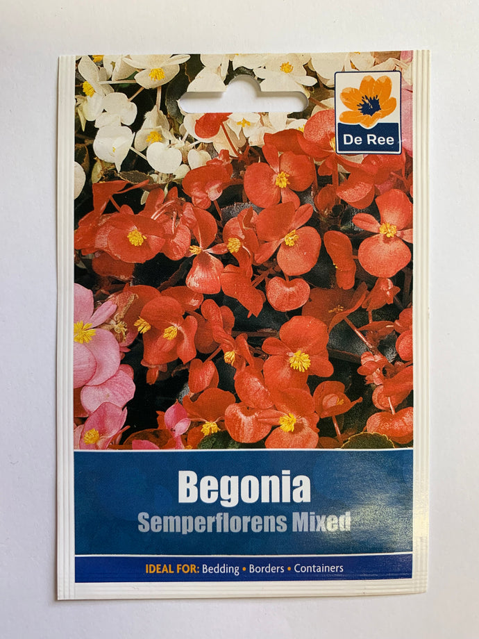 Begonia Semperflorens Mix - UCSFresh