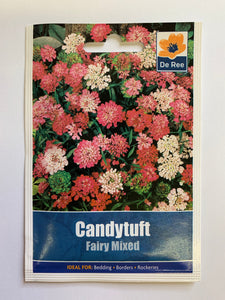 Candytuft Fairy Mixed - UCSFresh