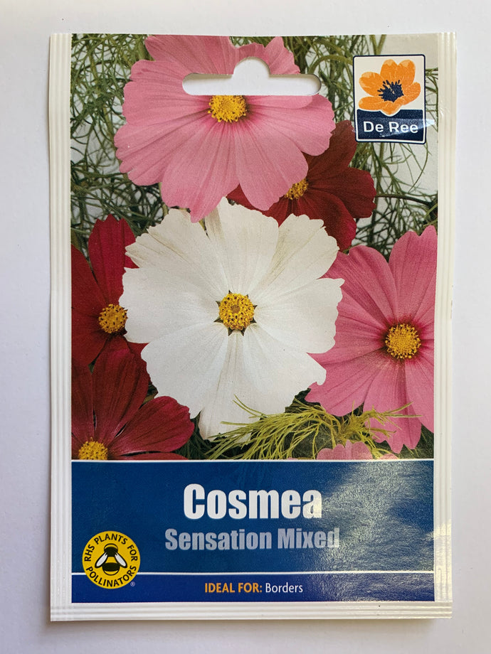 Cosmea Sensation Mixed - UCSFresh