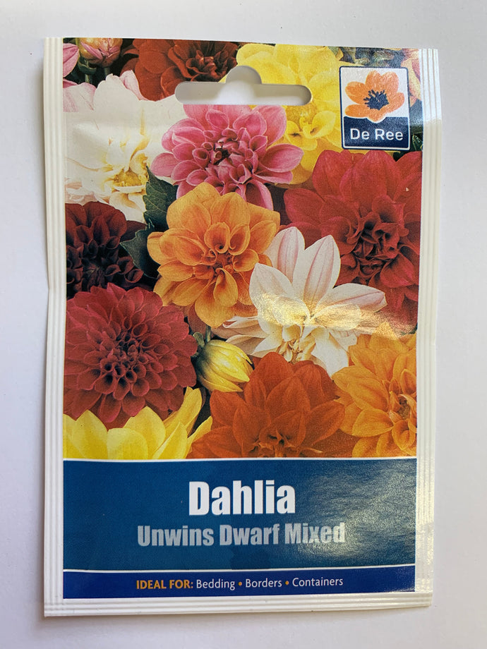 Dahlia Unwins Dwarf Mixed - UCSFresh