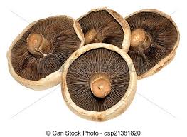 Flat Mushrooms - UCSFresh