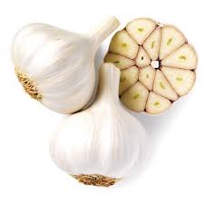 Garlic - UCSFresh