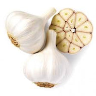 Garlic - UCSFresh