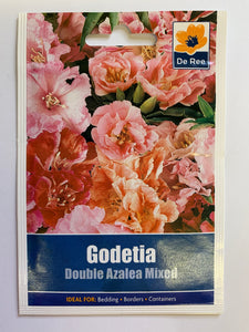 Godetia Double Azalea Mixed - UCSFresh