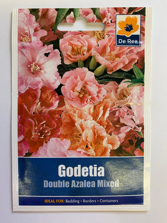 Godetia Double Azalea Mixed - UCSFresh