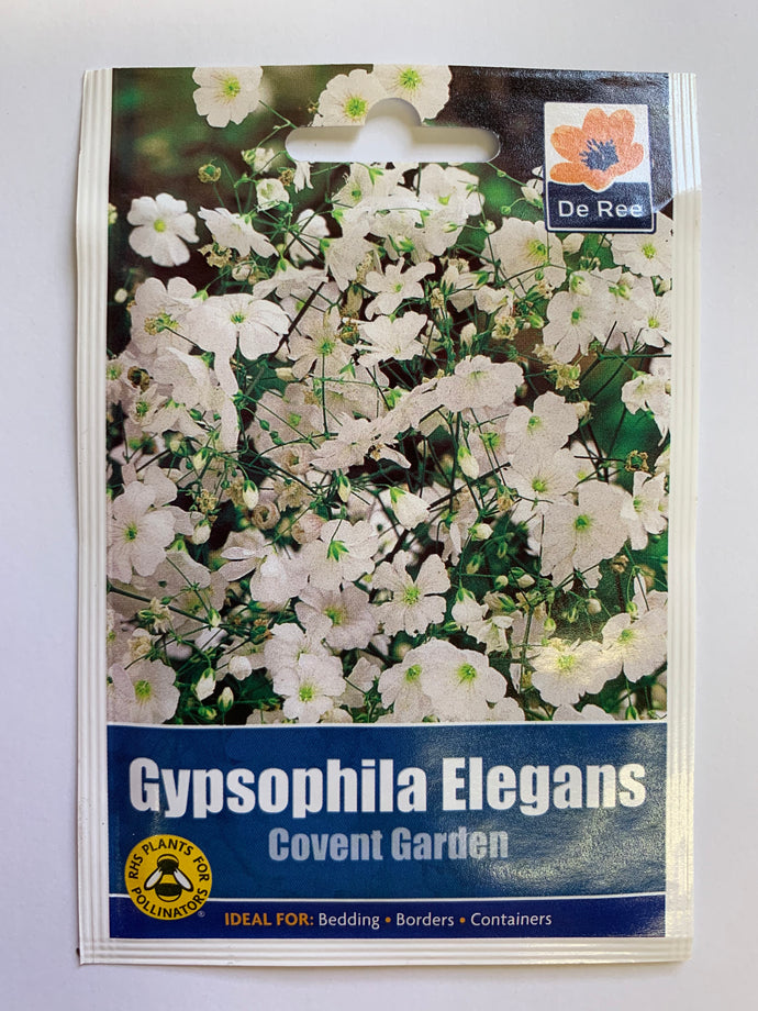 Gypsophilia Elegans Covent Garden - UCSFresh