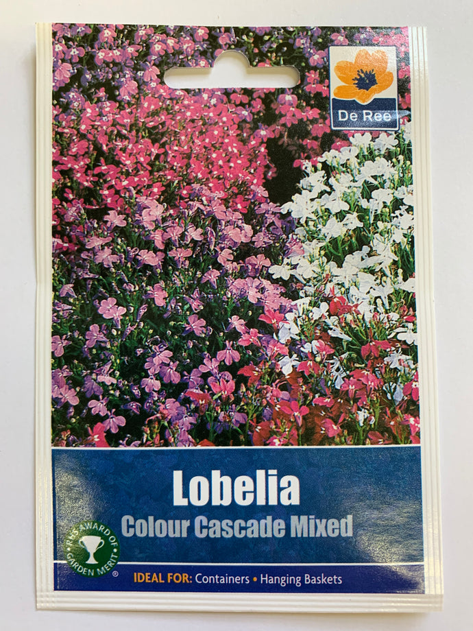Lobelia Colour Cascade Mixed - UCSFresh