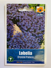 Load image into Gallery viewer, Lobelia Crystal Palace - UCSFresh
