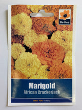 Load image into Gallery viewer, Marigold African Cracker Jack - UCSFresh
