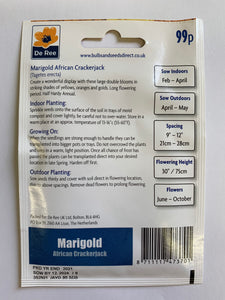 Marigold African Cracker Jack - UCSFresh