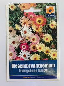 Mesembryanthemum Livingstone Daisy - UCSFresh