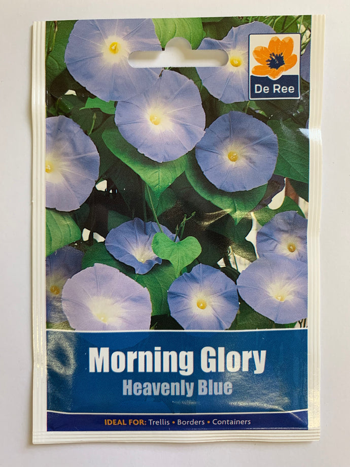 Morning Glory Heavenly Blue - UCSFresh