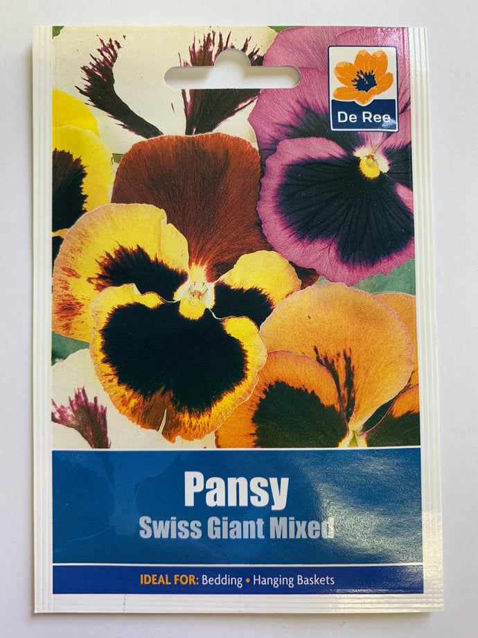 Pansy Swiss Giant - UCSFresh