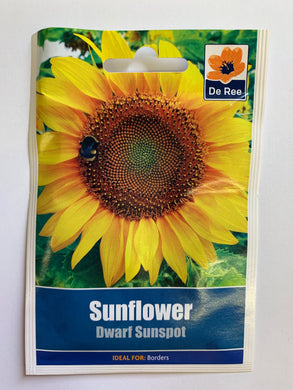 Sunflower Dwarf Sunspot - UCSFresh