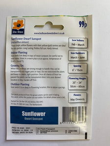 Sunflower Dwarf Sunspot - UCSFresh