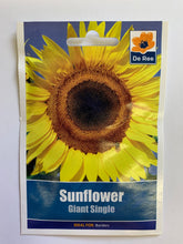 Load image into Gallery viewer, Sunflower Giant Single - UCSFresh
