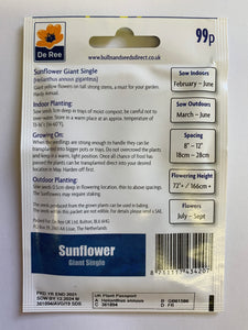 Sunflower Giant Single - UCSFresh