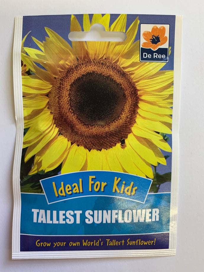Tallest Sunflower - UCSFresh