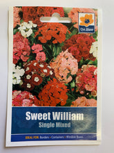 Load image into Gallery viewer, Sweet William Single - UCSFresh
