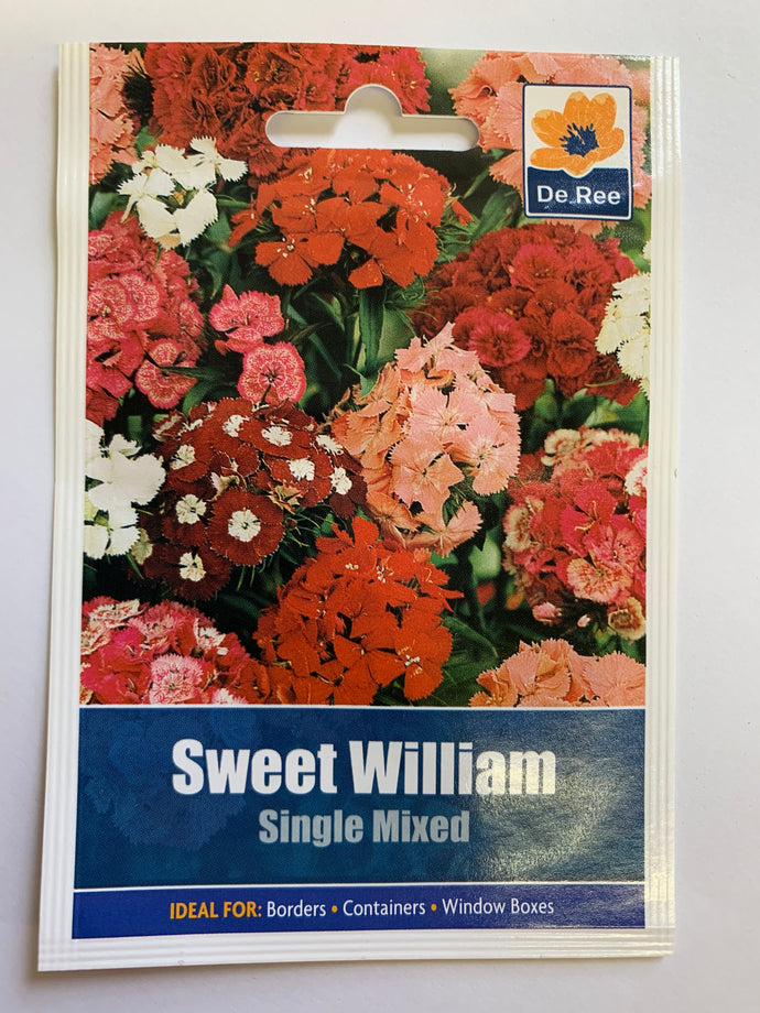 Sweet William Single - UCSFresh