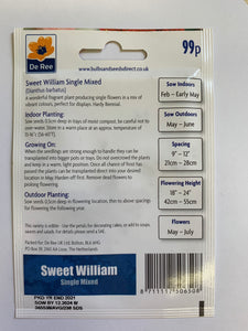 Sweet William Single - UCSFresh
