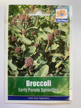 Load image into Gallery viewer, Broccoli Early Purple Sprouting - UCSFresh
