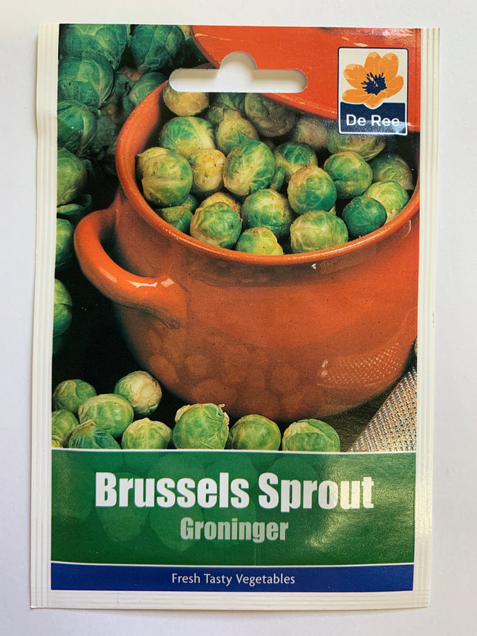 Brussel Sprout Groninger - UCSFresh