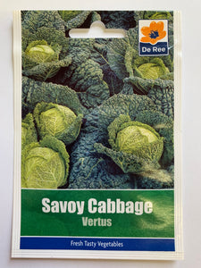 Cabbage Savoy Vertus - UCSFresh