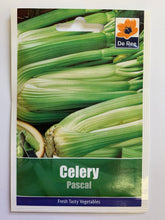 Load image into Gallery viewer, Celery Pascal - UCSFresh
