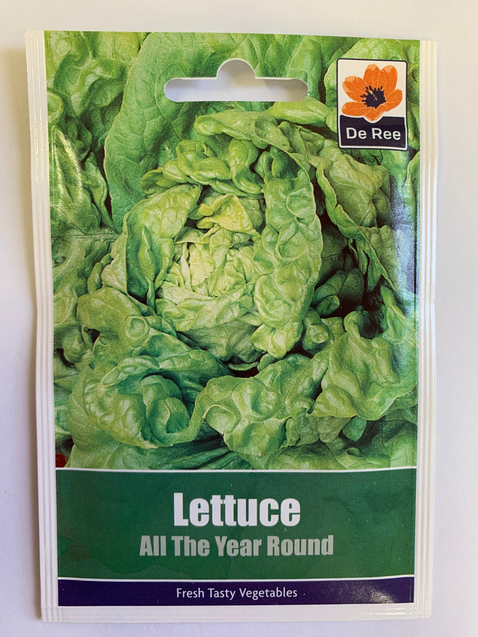 Lettuce All Year Round - UCSFresh