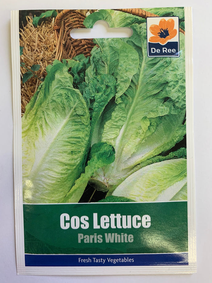 Lettuce Cos Paris White - UCSFresh