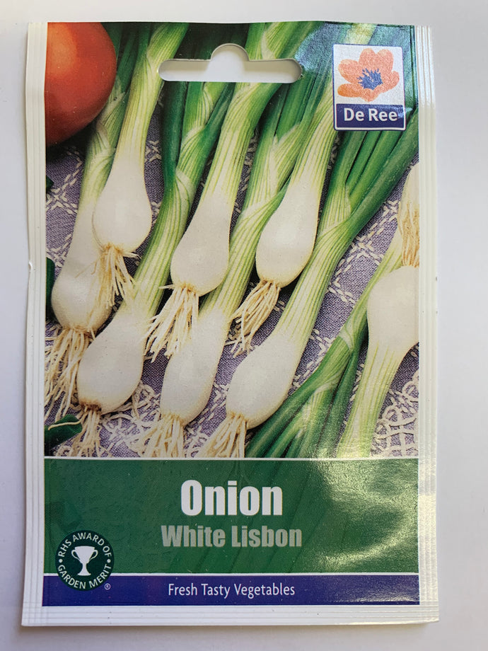 Onion White Lisbon - UCSFresh