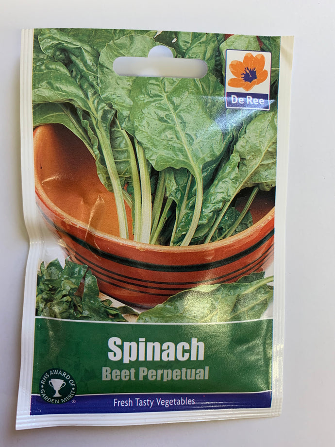 Spinach Beet Perpetual - UCSFresh