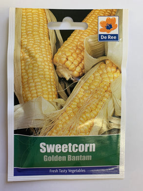 Sweetcorn Golden Bantam - UCSFresh